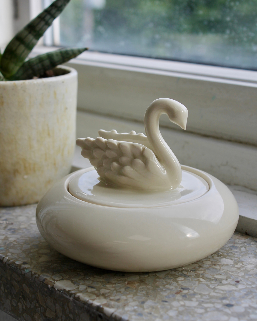 Coffret cygne